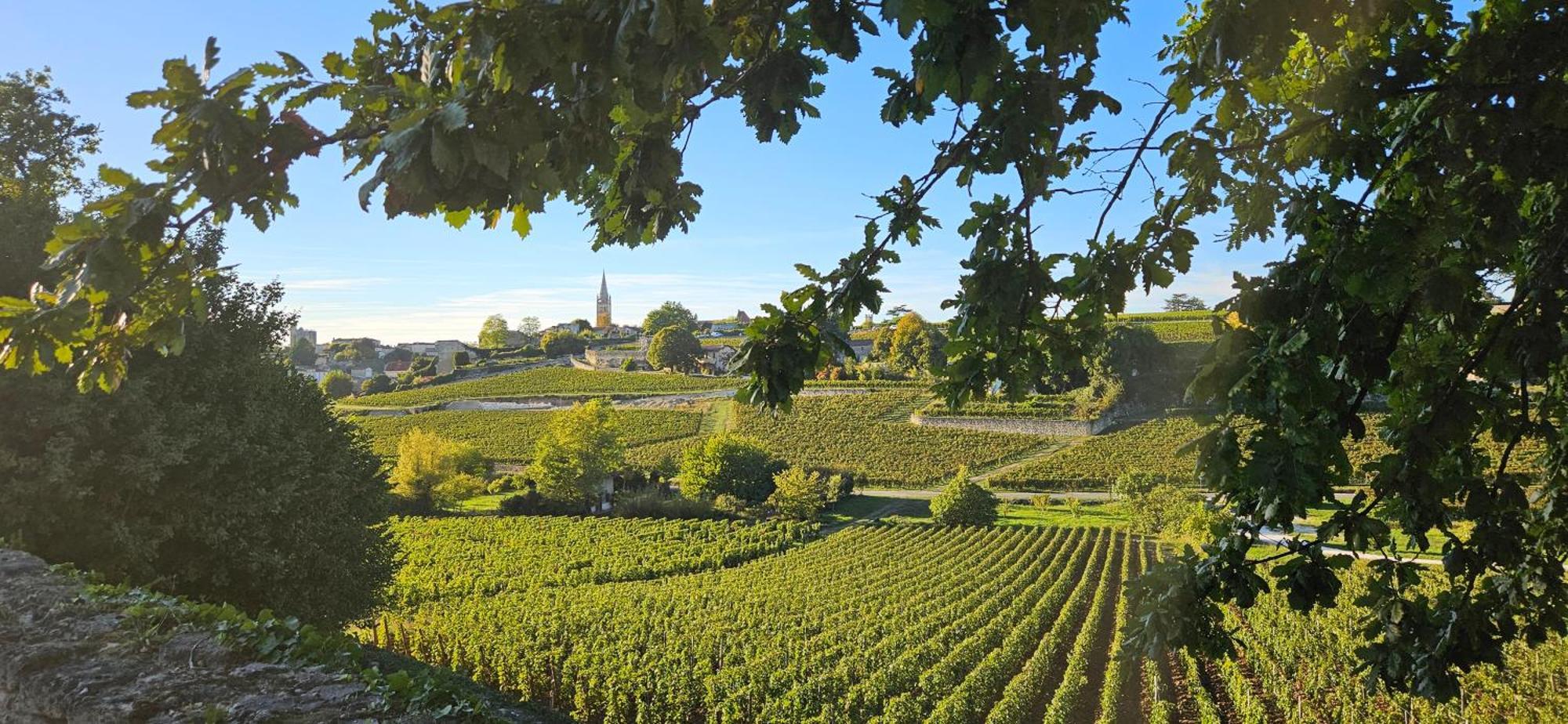 Gite Chateau Touzinat - Saint-Émilion Esterno foto